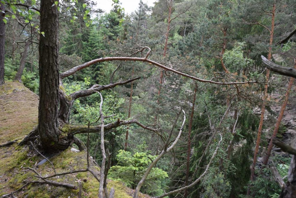 Naturpark Thüringer Schiefergebirge